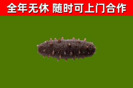 河北烟酒回收干海参.jpg